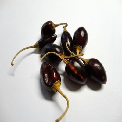 25 g Catarina Chiles, Whole