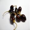 25 g Catarina Chiles, Whole view 1