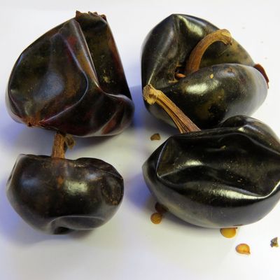 25 g Whole Cascabel Chilies