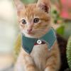 ABOOFAN Adjustable Cat Collar with Checkered Pattern and Bell view 4