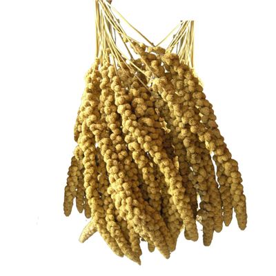 Dovita Vital Yellow Spray Millet (6 kg)