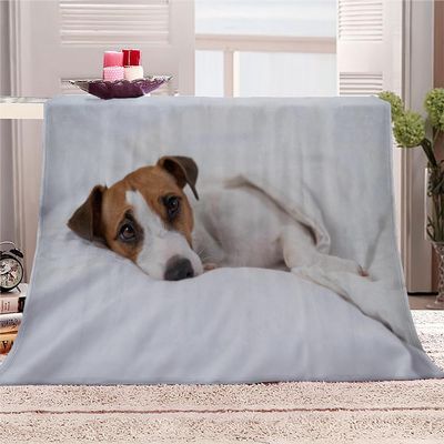 Jack Russell Terrier Flannel Fleece Blanket, 150 x 200 cm, 3D Plush Throw