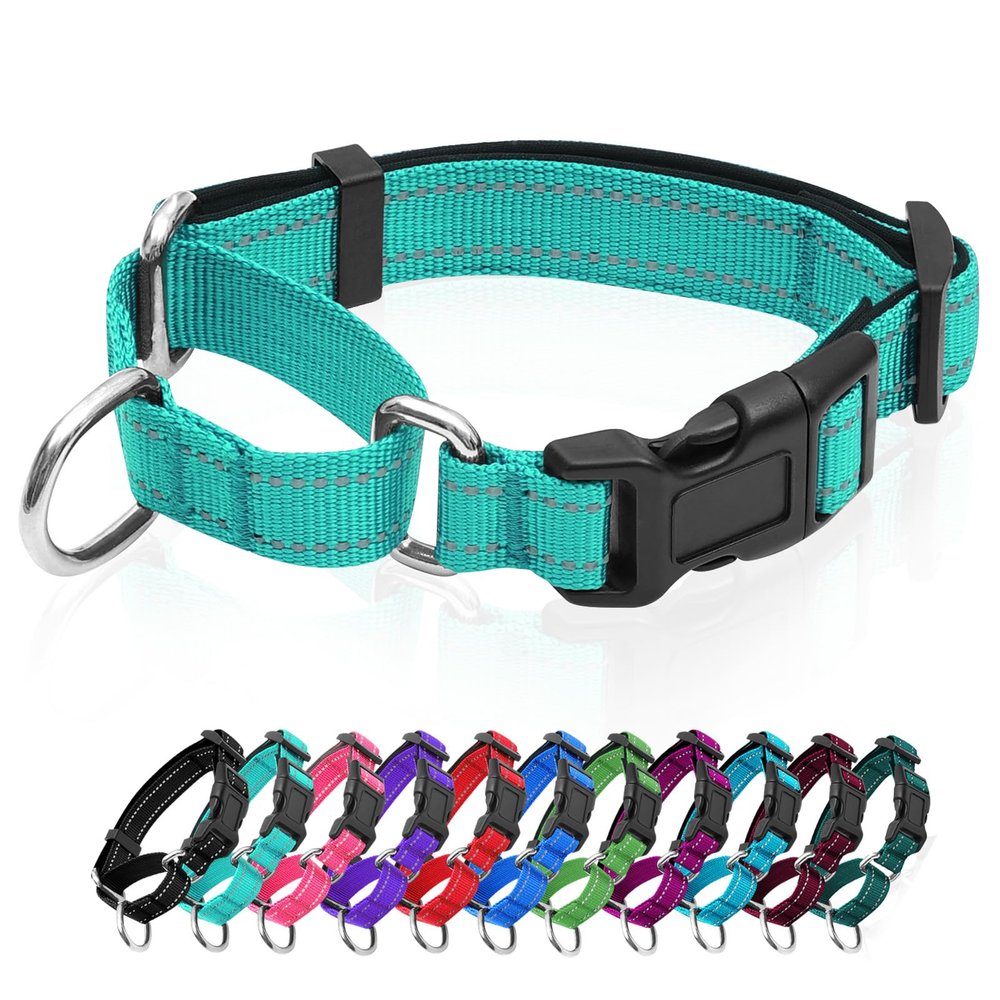 Reflective Martingale Dog Collar with Quick-Release Buckle