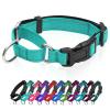 Reflective Martingale Dog Collar with Quick-Release Buckle view 1