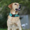 Reflective Martingale Dog Collar with Quick-Release Buckle view 2