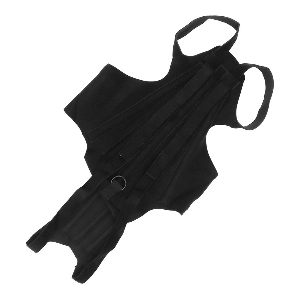BROLEO Dog Back Brace, Size L