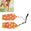 Qcwwy Recovery Sleeve for Dog Front Legs, Adjustable Suit (XL) view 2