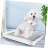Open Dog Toilet for Small Dog Breeds, PP view 4