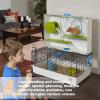 Hamster Climbing Ladder view 2