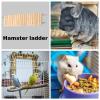 Hamster Climbing Ladder view 3
