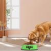 Personalized Stainless Steel Dog & Cat Bowl, Non-Slip, Green view 2