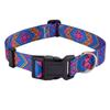 MarukoPet Adjustable Dog Collar view 2