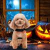 Bat Wings for Pets Halloween Costume view 3