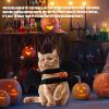 Bat Wings for Pets Halloween Costume view 4