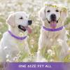 XoeLLe Calming Collar for Dogs, 2 Pack view 4
