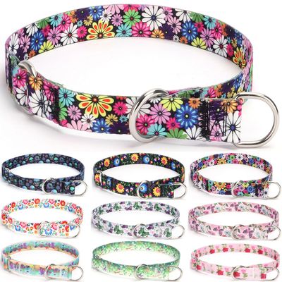 Haoyueer Training Dog Collar, No-Pull Martingale Slip Collar with Adjustable Stop Ring, M, Fireworks