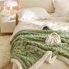 Chickwin Solid Color Plush Sherpa Blanket, Green, 180 x 200 cm view 4
