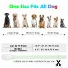 AUAUY LED Dog Collar, USB Rechargeable Adjustable Safety Silicone Collar view 3