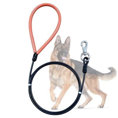 Mi Metty 5ft Dog Leash - Chew-Proof