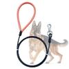 Mi Metty 5ft Dog Leash - Chew-Proof view 1