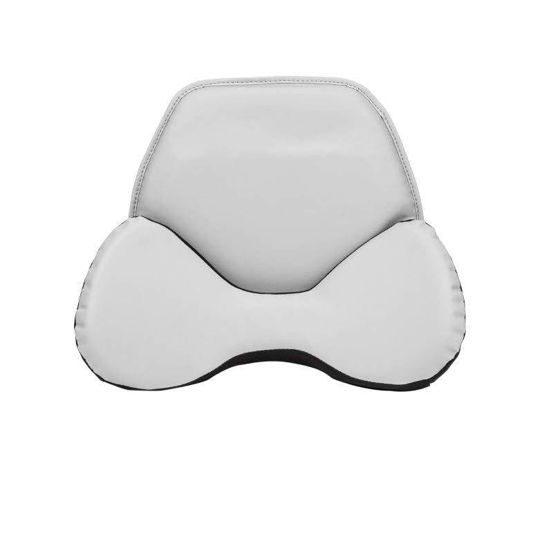QQLADY Z Leather Car Neck Pillow and Lumbar Support, Seat Headrest Accessory (Lumbar support-01G)