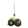 DOITOOL Hanging Bird Nest Rattan Decor view 1