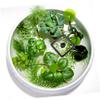 POPETPOP Floating Fish Feeder view 2