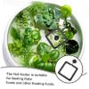 POPETPOP Floating Fish Feeder view 3