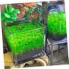 POPETPOP Floating Fish Feeder view 4