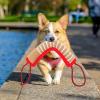 Mipcase Dog Bite Toy, Durable Rubber Stick for Outdoor Training view 2