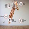 Giraffe Wall Decal for Kids' Rooms, 23 x 40 cm view 2