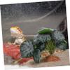 Amosfun 2-Piece Reptile Plants, Artificial Terrarium Decoration for Lizards, Bearded Dragons, Snakes and Fish view 3