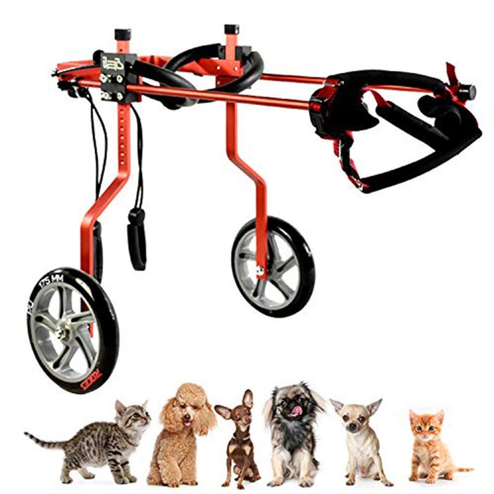 ASHILD Adjustable Dog Wheelchair for Hind Legs, 2-Wheel, Red