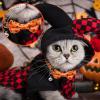 BUNIQ Halloween Cat Collar view 3