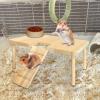 Hamster Bridge Toy – Stair Platform and Climbing Playground for Hamsters, Gerbils, and Mice view 2