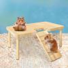 Hamster Bridge Toy – Stair Platform and Climbing Playground for Hamsters, Gerbils, and Mice view 3