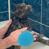 Dog Bath Brush | TPR Pet Care Shampoo Brush view 2