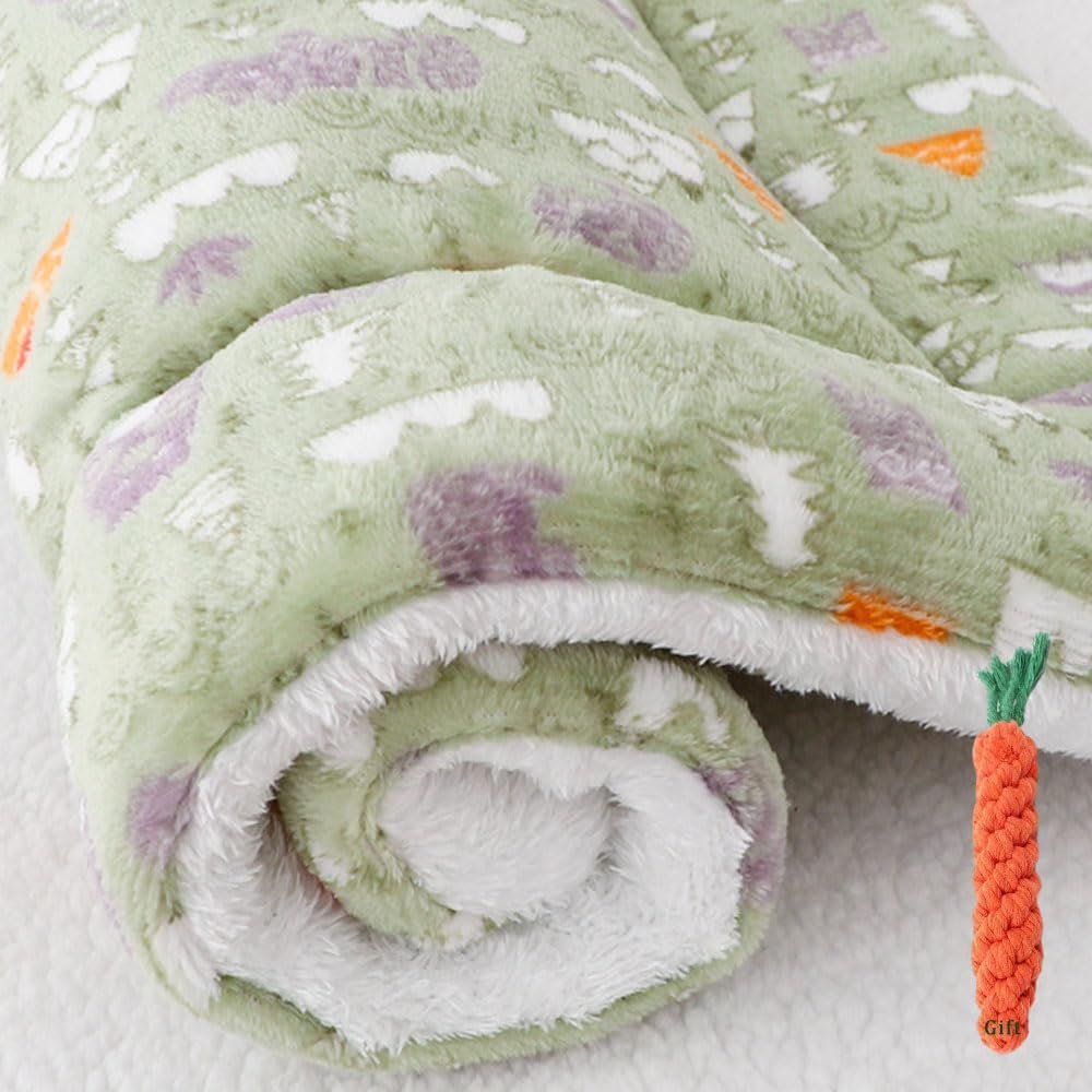 FANSU Washable Plush Dog Bed, Removable Calming Pet Bed for Small to Medium Dogs, 49 x 32 cm, Green Forest