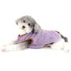 Ranphy Fleece Pullover for Small Dogs view 4