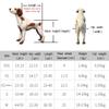 Mobility Pet Dog Wheelchair, Full Support, 2 Adjustable Wheels for Small Dogs' Hind-Leg Rehabilitation (White 2X) view 2