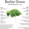 Organic Barley Grass Juice Powder, 3 Boxes view 4