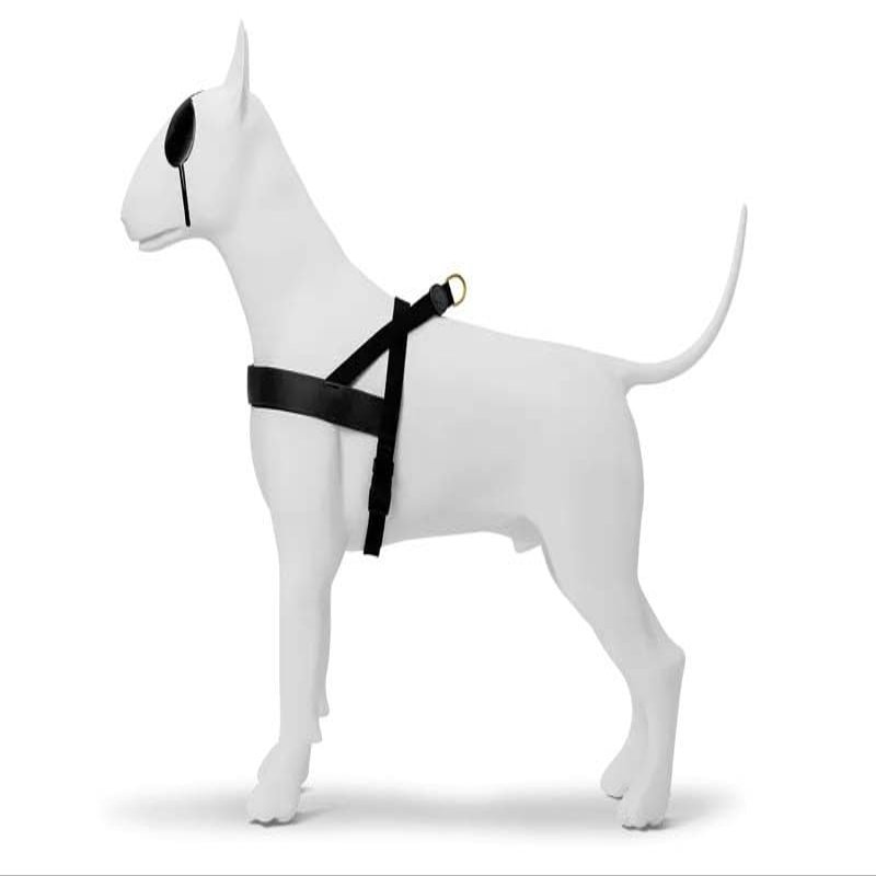 MORSO Norwegian Dog Harness, Recycled Gold, Caviar Gold