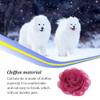 WNDUOKXH Dog Collar with Flower view 4