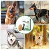 JINGAN Stand Up Dog Ear Stickers view 4