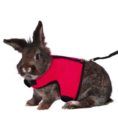 Minkissy Adjustable Rabbit Harness with Leash - Breathable and Comfortable for Small Pets - Red