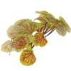Minkissy Artificial and Natural Hide for Climbing Animals and Reptiles view 1