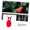 minkissy 1-Piece Parrot Flight Suit and Bird Diaper view 4