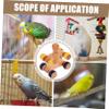 minkissy 1 Pair Training Device for Parrots Toy Wooden Roller Skating Mini view 3