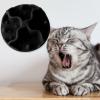 curfair Silicone Cat Feeding Mat with Smooth Edges, Slow Feeding, Suction Cup, BPA-Free, Black, Size S view 4