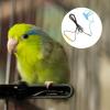 minkissy 2-Piece Adjustable Parrot Harness with Wing Leash for Safe Flying and Training, Lightweight Bird Harness for Small and Medium Parrots and Cockatiels view 2